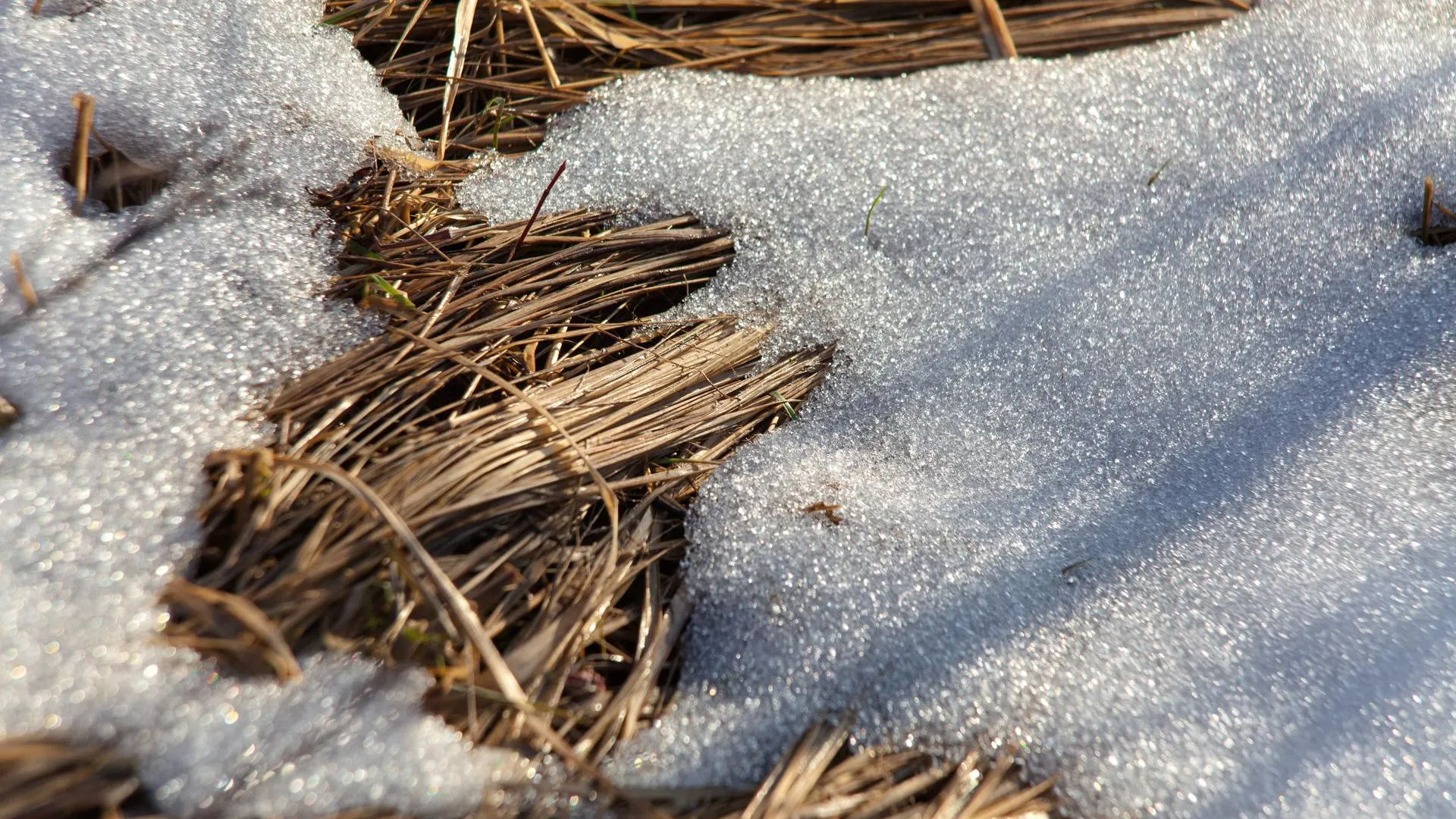 медиасток.рф