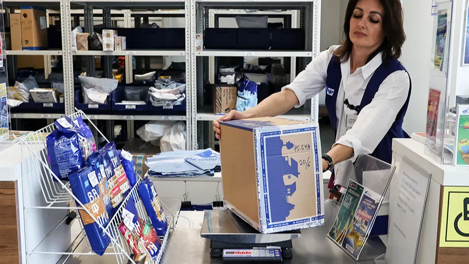 Фото: ТАСС/NEWS.ru/Сергей Петров