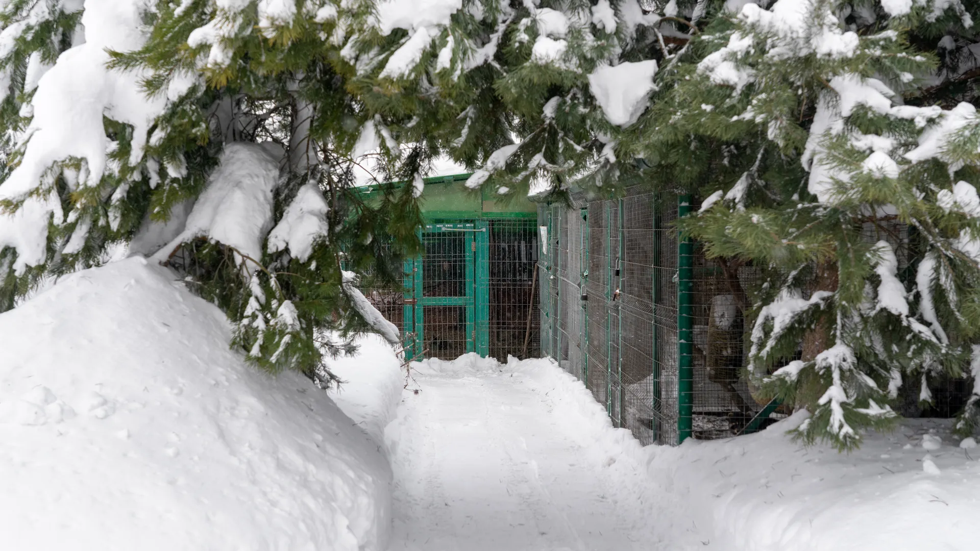 медиасток.рф