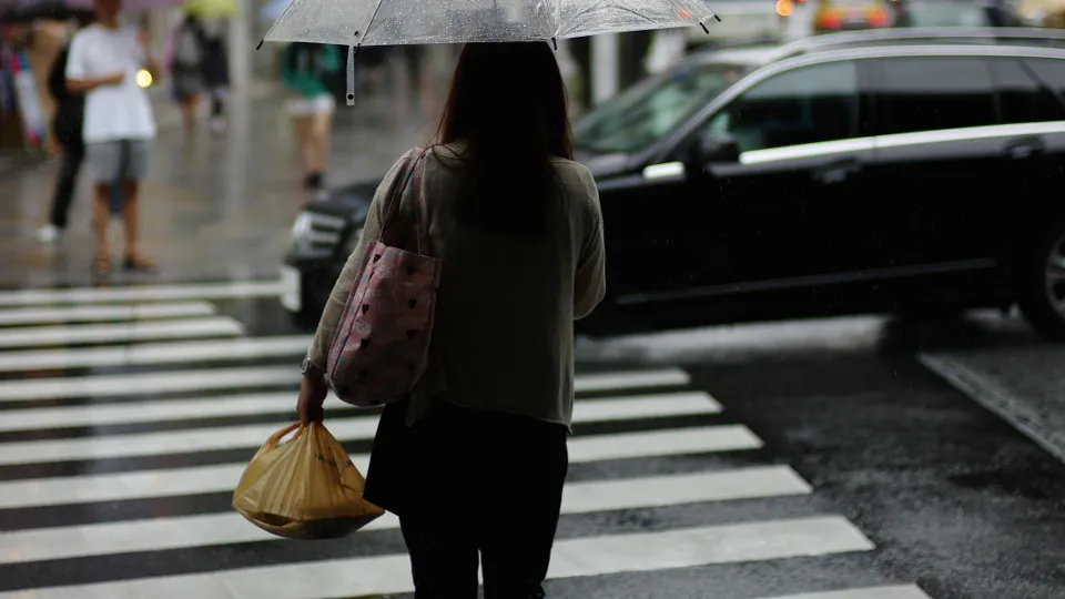 Фото: pxhere.com