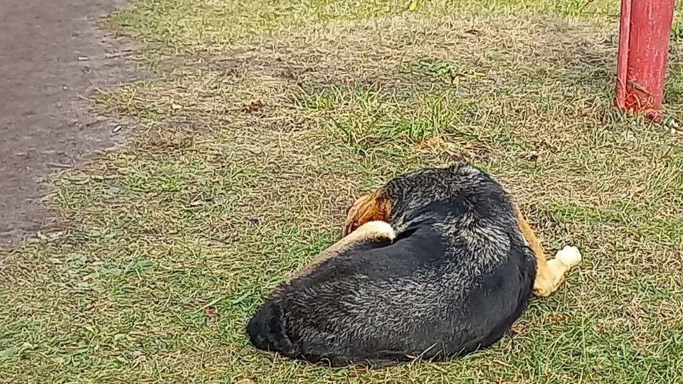 Фото: REGIONS/Олег Книжник