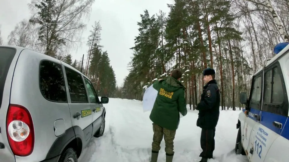 Фото: Комитет лесного хозяйства МО