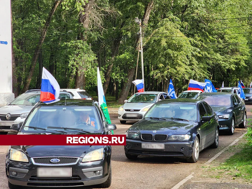 Фото: Светлана Плотникова