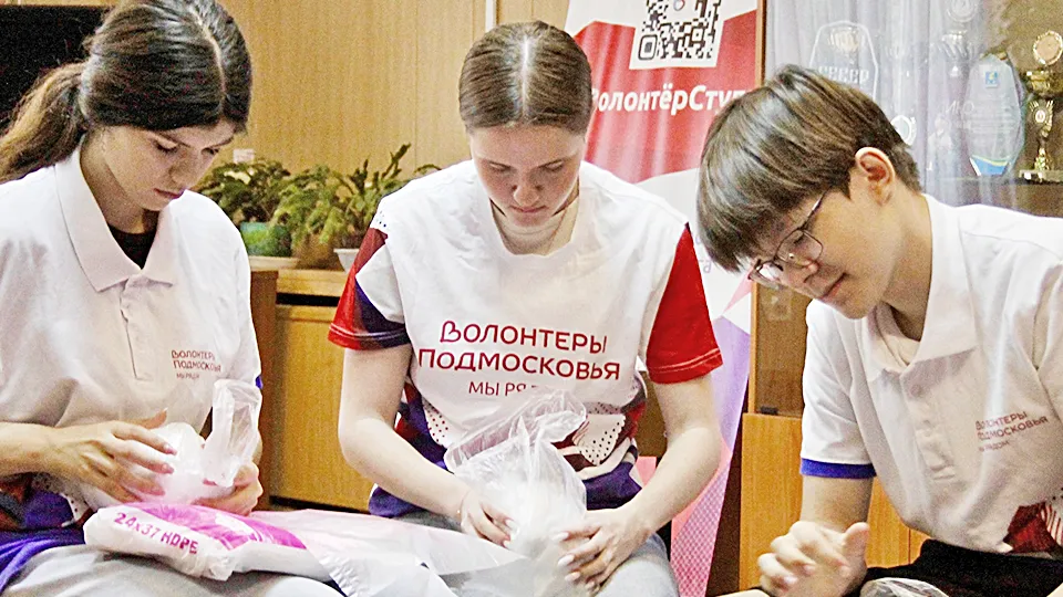 Фото: «Волонтеры Подмосковья» г.о. Ступино
