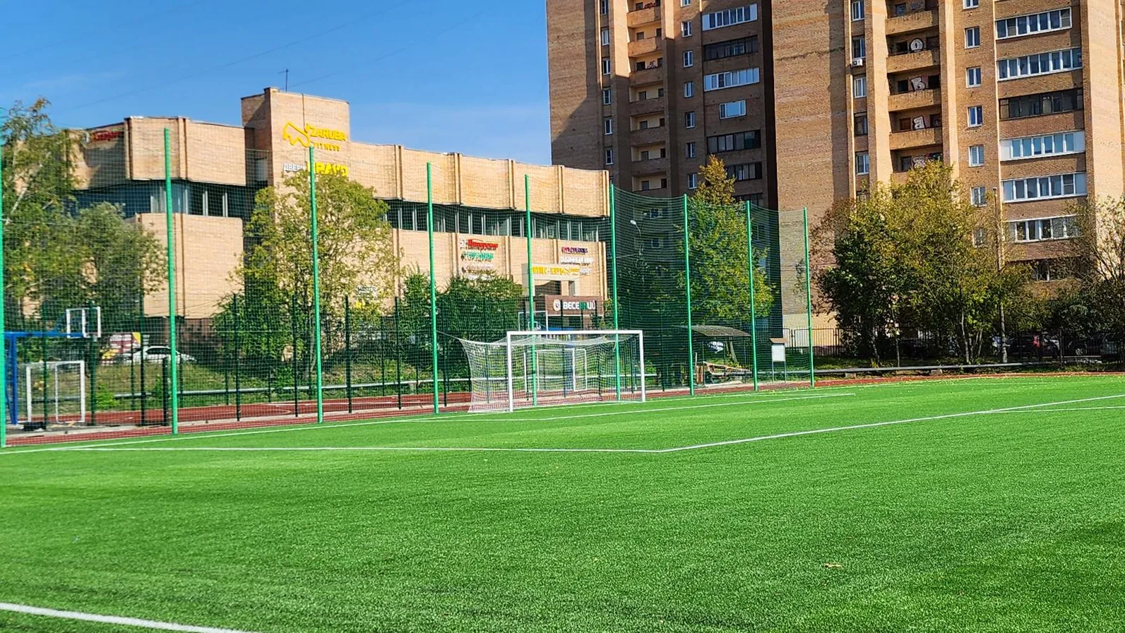 Добрынина Галина