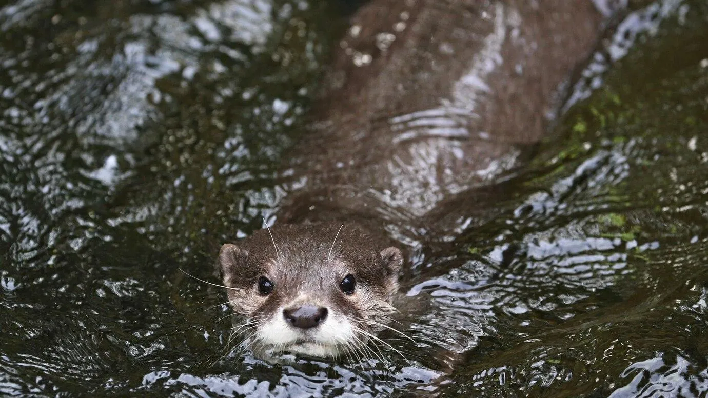 Фото взято с ru.freepik.com