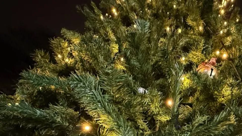 Фото: МедиаБанк Подмосковья/Анна Дука