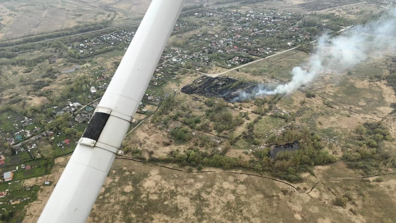 Фото: Комитет лесного хозяйства Московской области