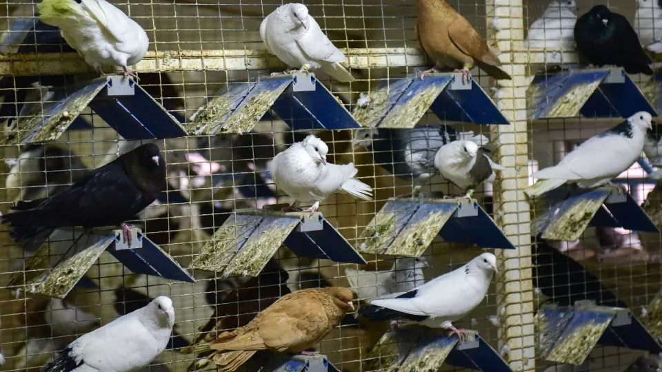 Фото: пресс-служба администрации г.о. Химки