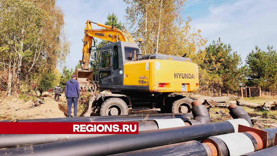 Фото: Юлия Андросова