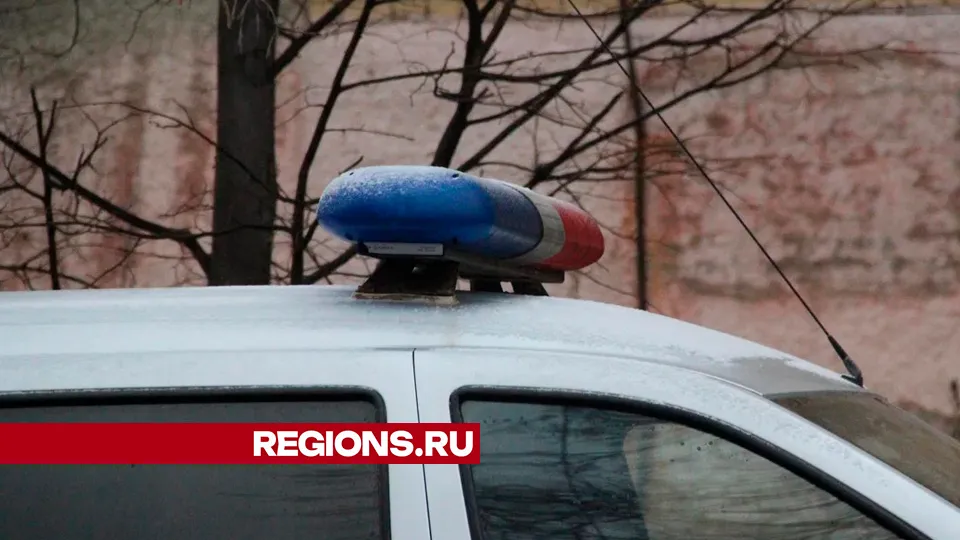 Фото: REGIONS/Василий Тремасов