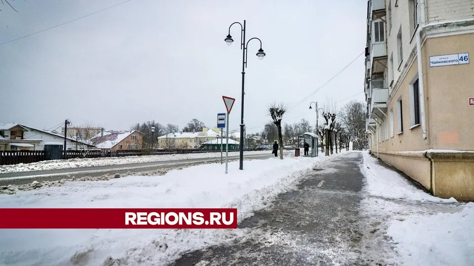 Фото: МедиаБанк Подмосковья/Данила Кирьянов