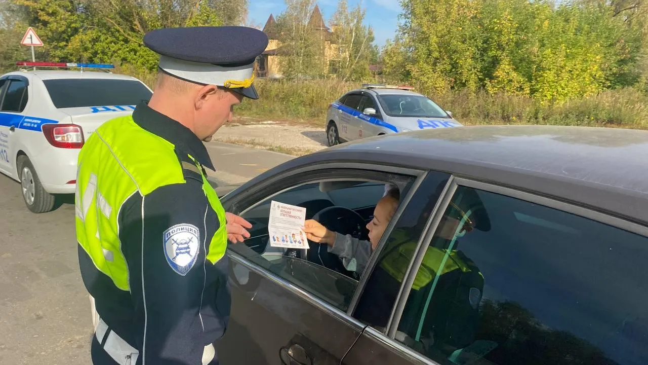 Источник: пресс-служба ГИБДД по городскому округу Павловский Посад