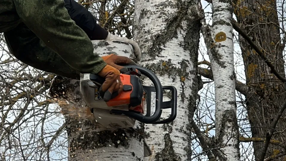 Фото: МедиаБанк Подмосковья/Данила Кирьянов