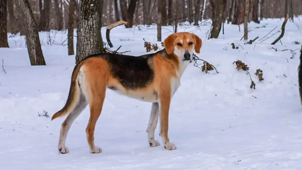 REGIONS/Эльвира Сафина