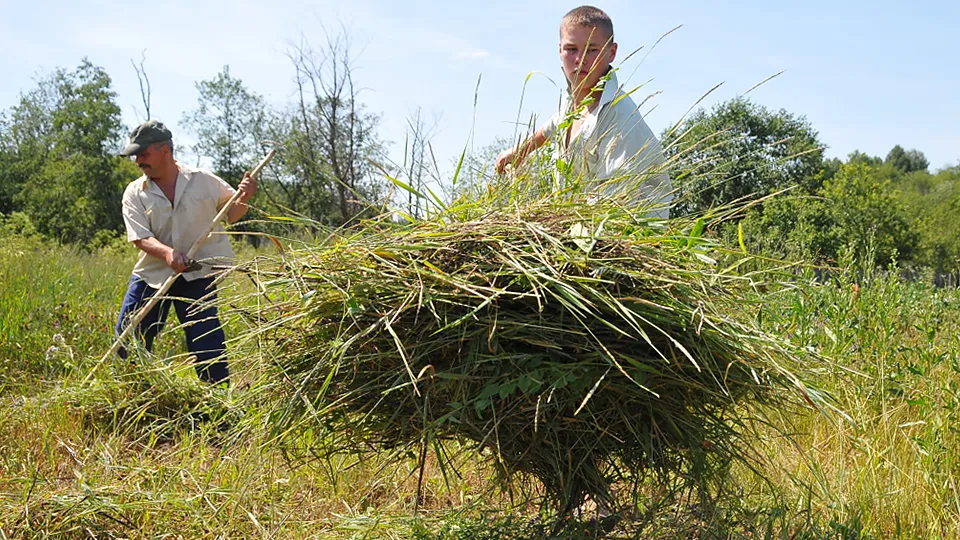 Фото: РИА Новости/Александр Кондратюк