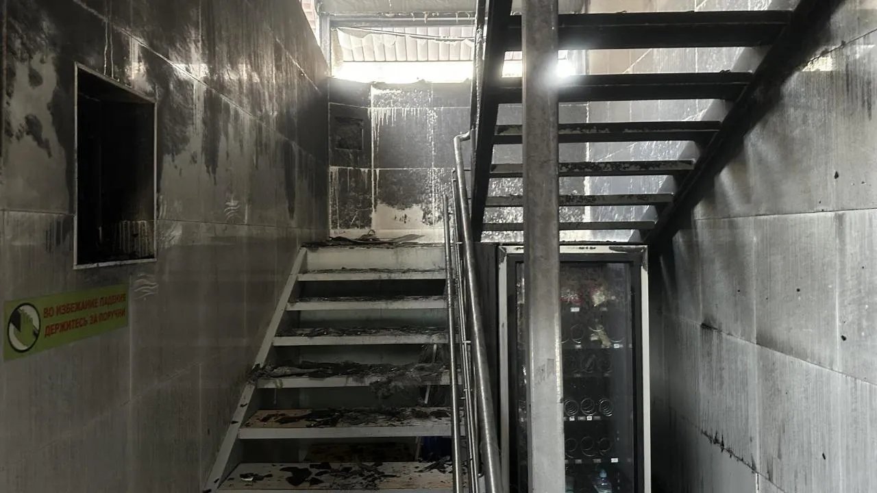 REGIONS/Мария Шигорева