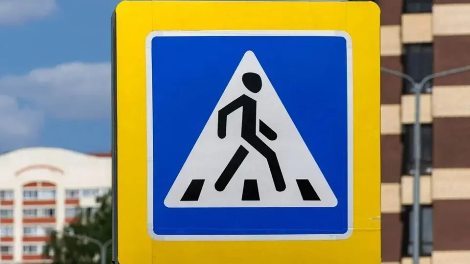 Фото: администрация городского округа Красногорск