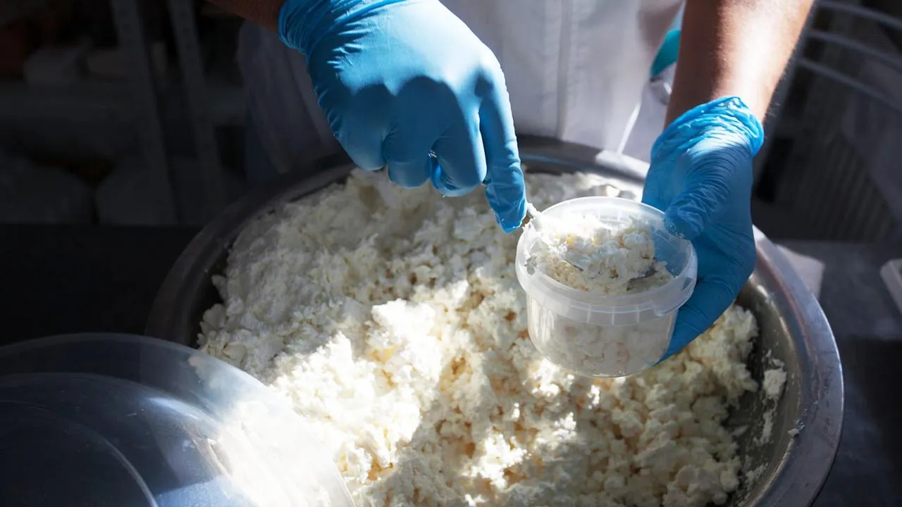 медиасток.рф