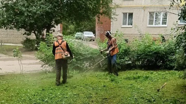 Фото: Светлана Плотникова