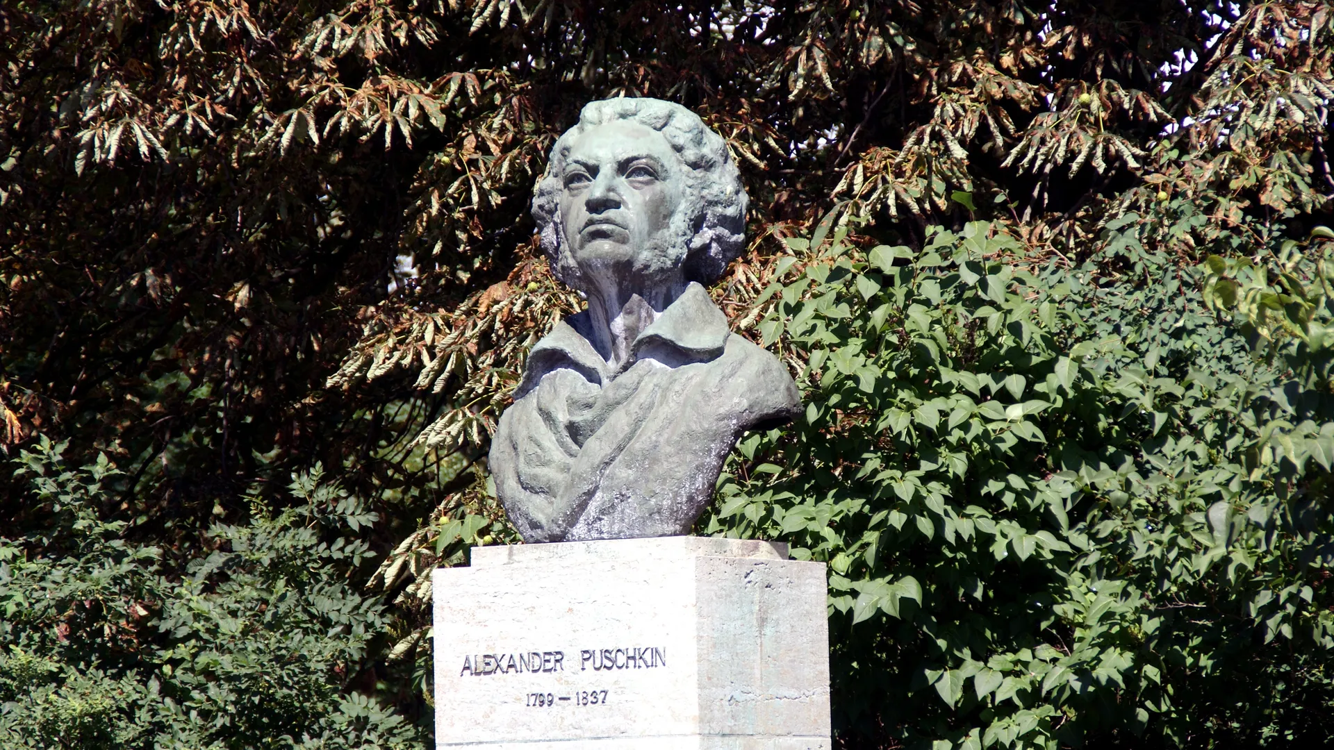 Фото: pxhere.com