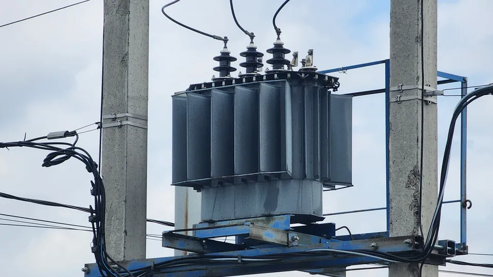 Фото: МедиаБанк Подмосковья/Светлана Плотникова