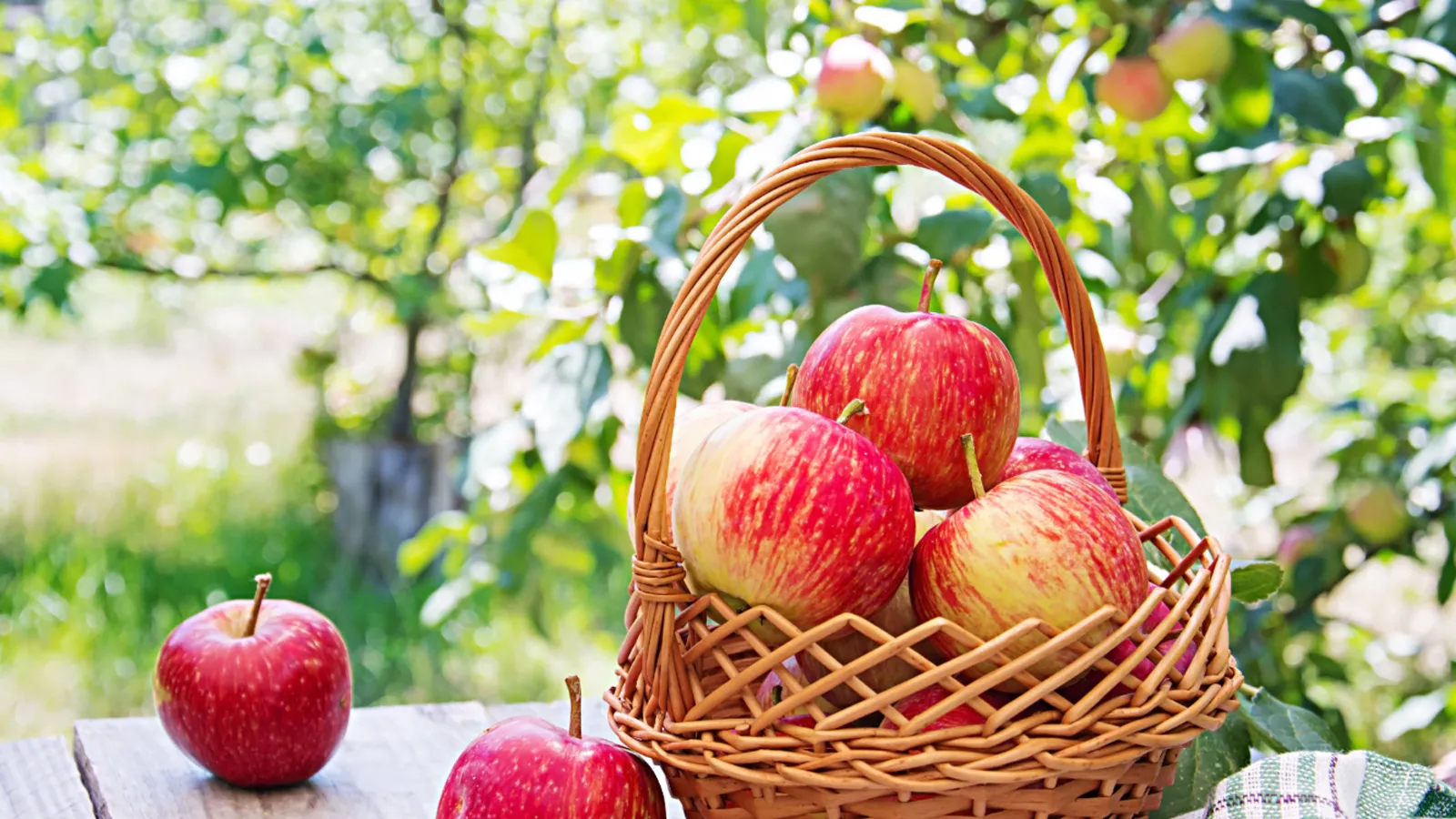 Фото: freepik.com