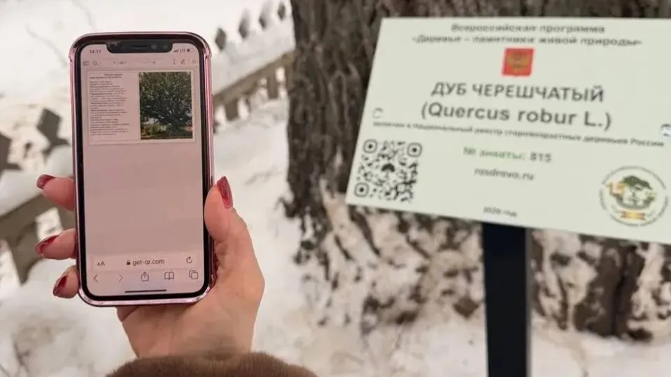 Фото: пресс-служба администрации Можайского м.о.