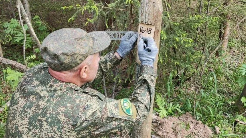 Фото: Комитет лесного хозяйства Московской области