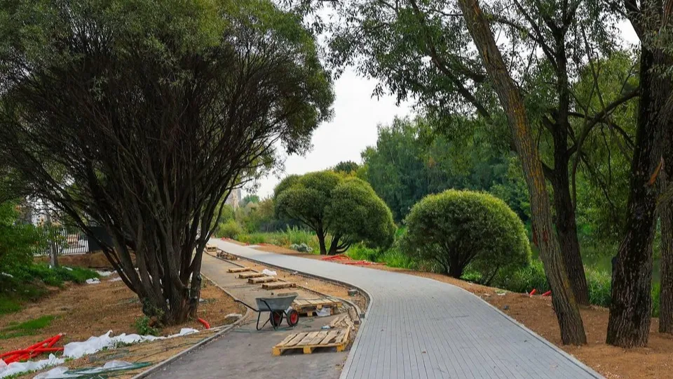 Фото: пресс-служба администрации г.о. Мытищи