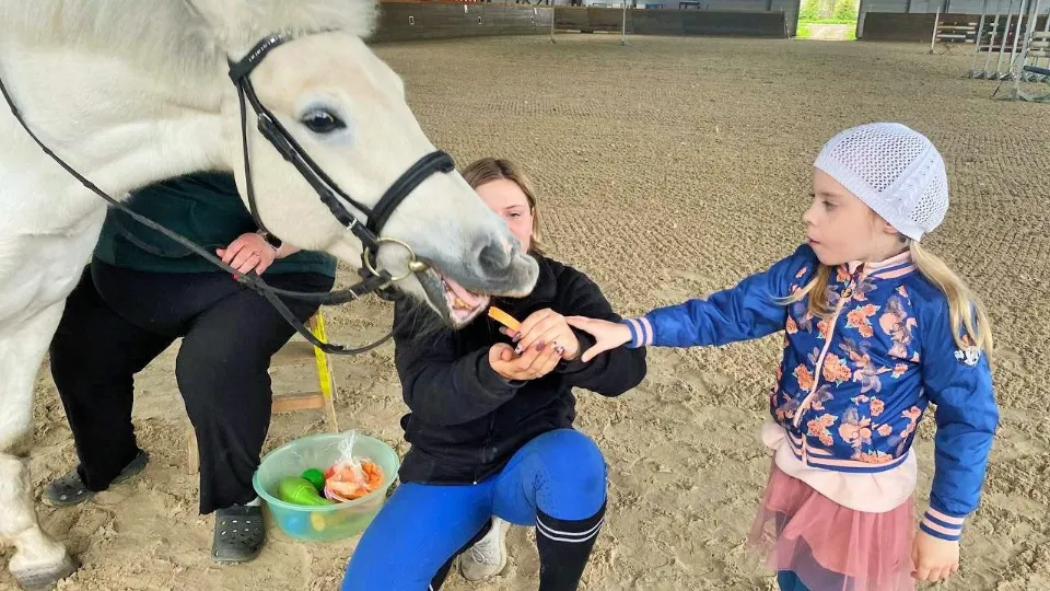 Фото: КЦСОР «Сергиево-Посадский»