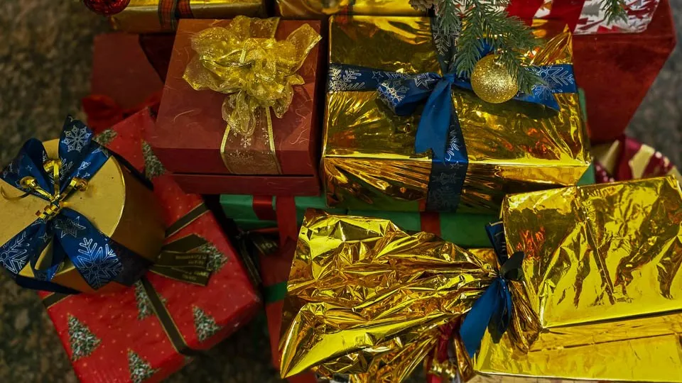 Фото: REGIONS/Елена Болотова