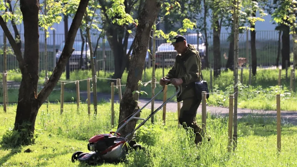 Фото: администрация г.о. Краснознаменска