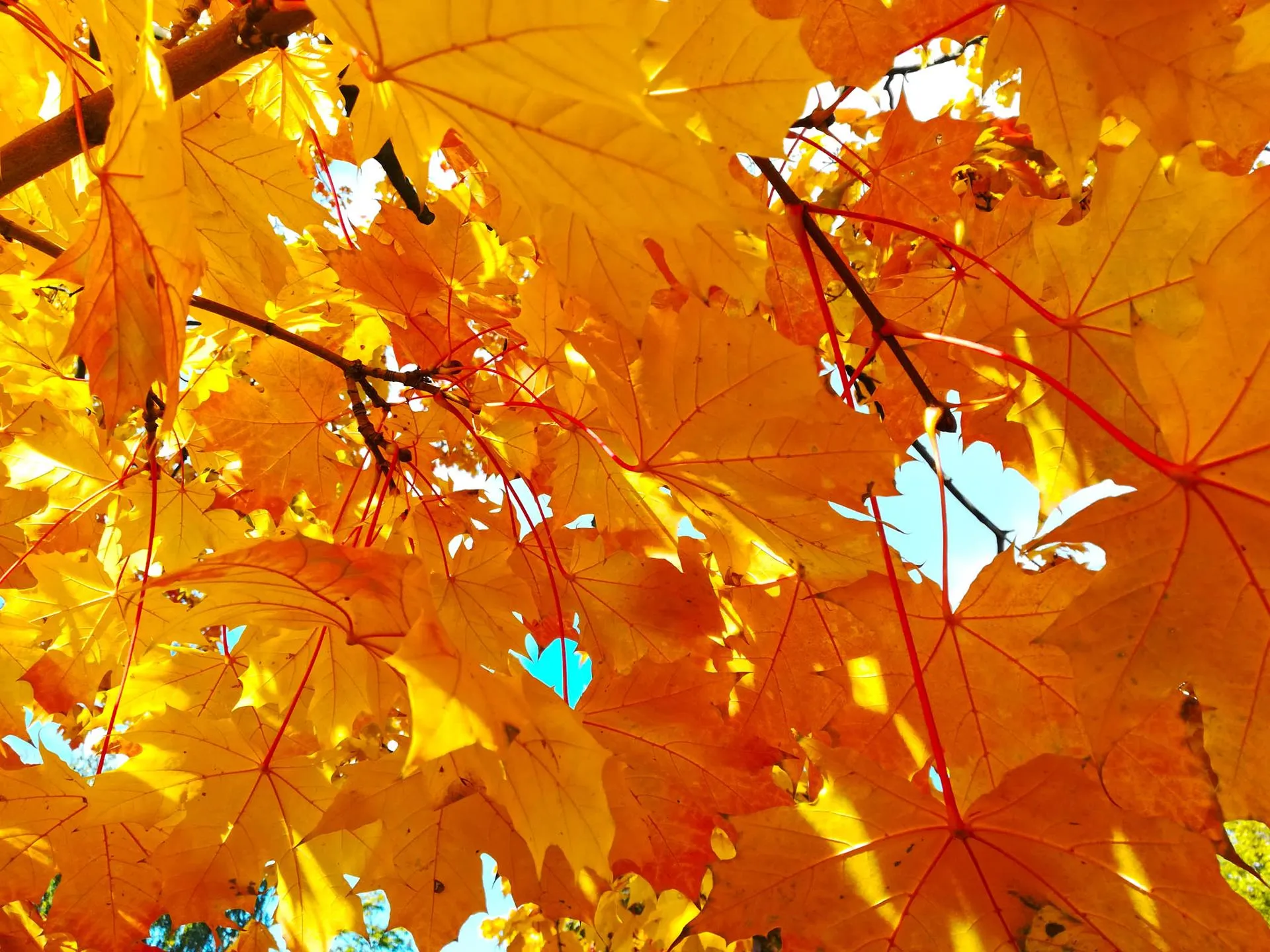 Фото: Дмитрий Кравцов