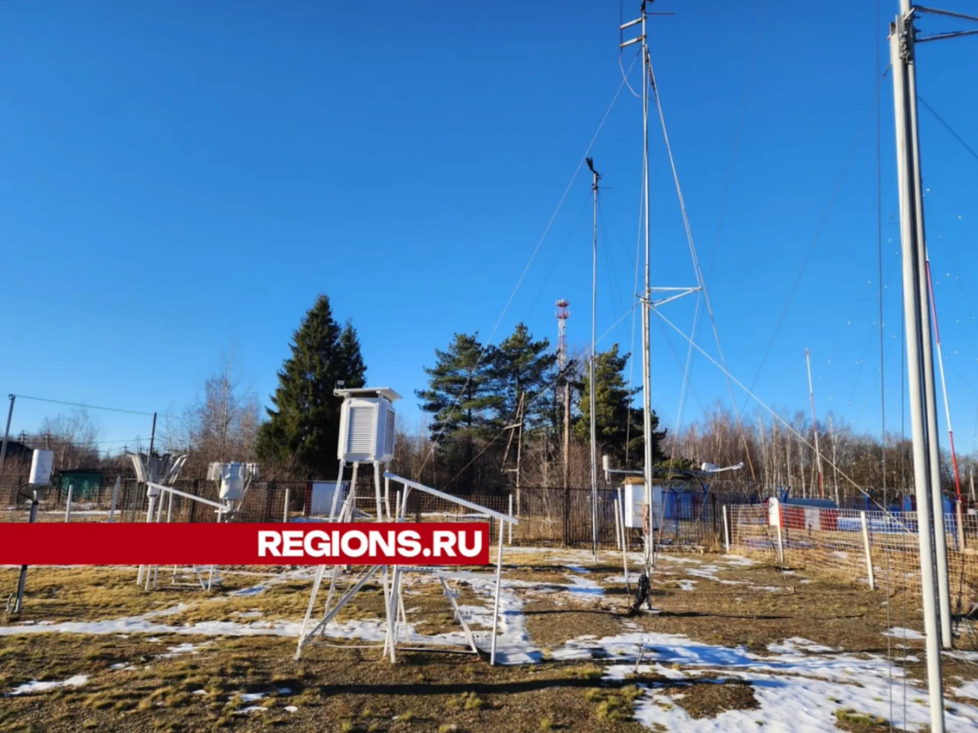 Фото: Оксана Лапшина