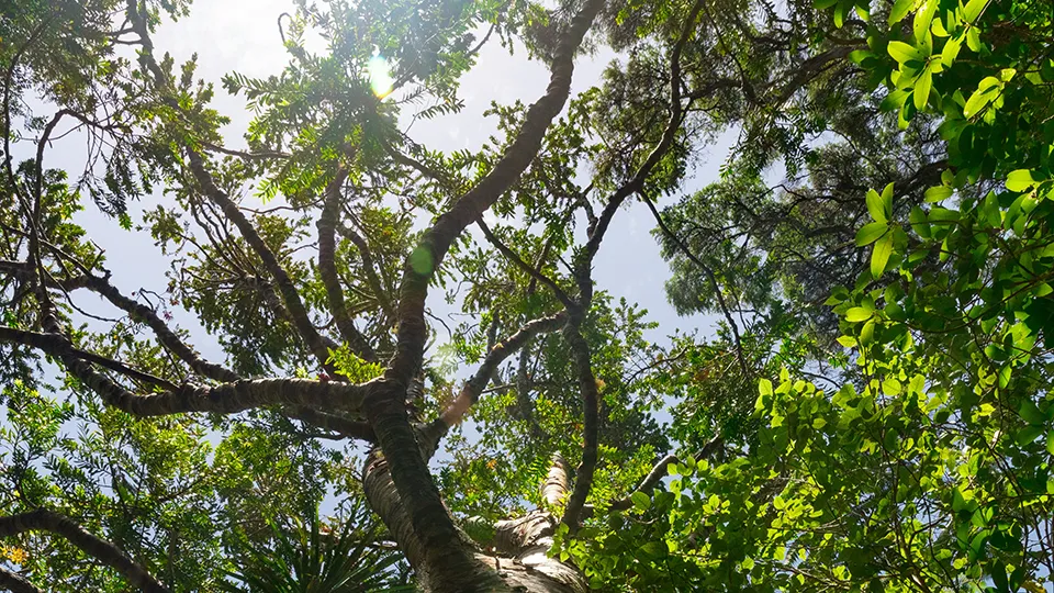 Фото: unsplash.com