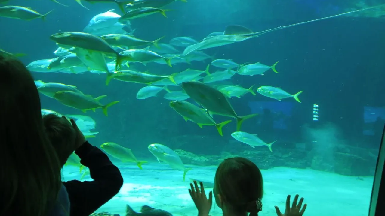 Министерство социального развития Московской области