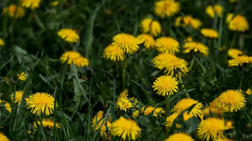 Фото: REGIONS/Наталия Надточая