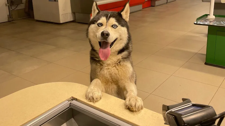 Фото: vk.com/Подслушано Лотошино