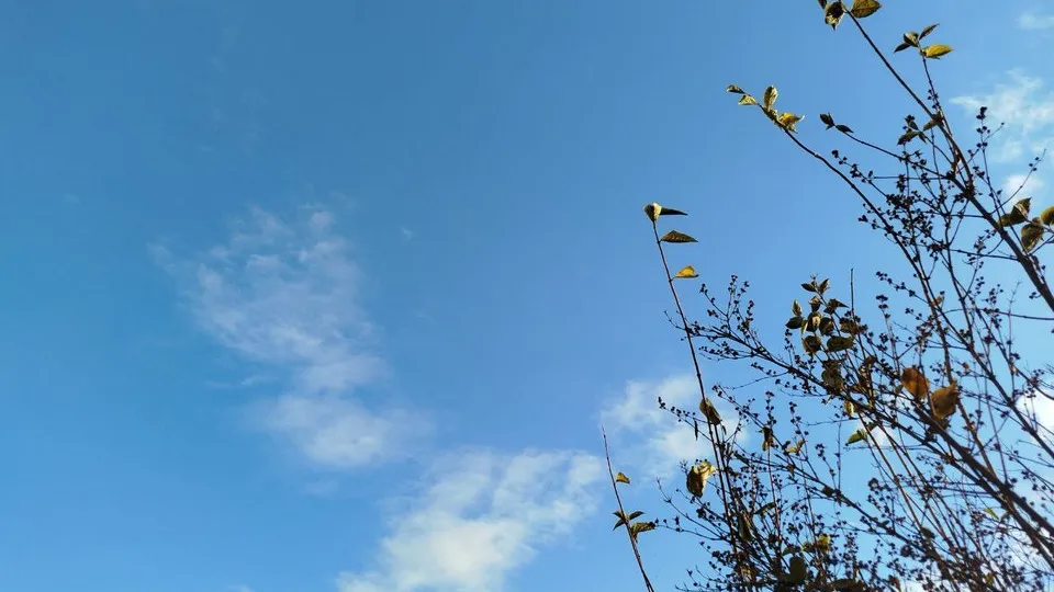 Фото: REGIONS/Юлия Куделькина