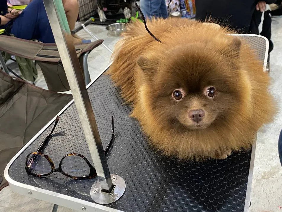 Фото: МедиаБанк Подмосковья/Юлиан Миранду