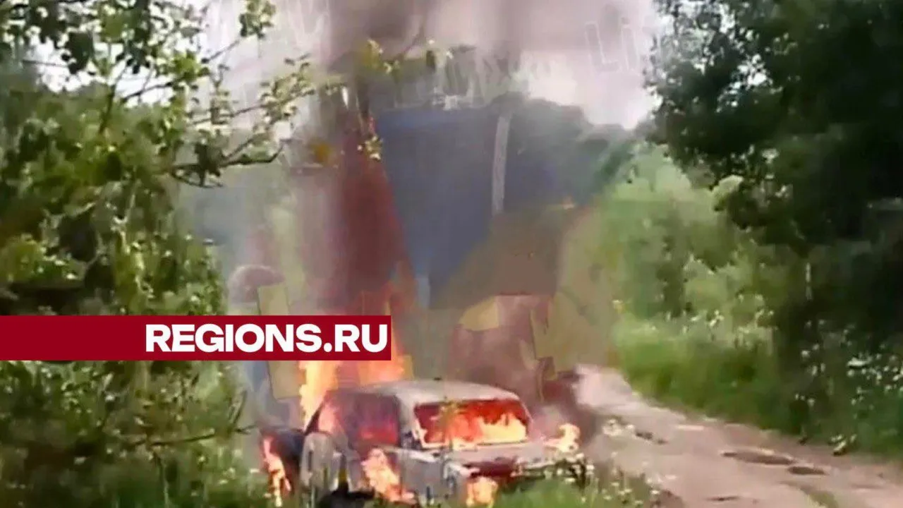 Фото: t.me/balashikha_life