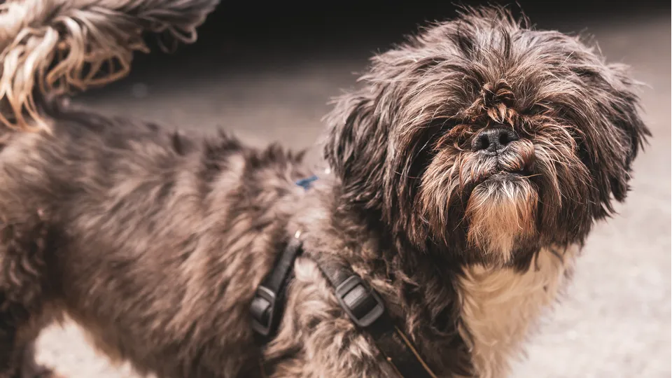 Фото: REGIONS/Наталия Надточая