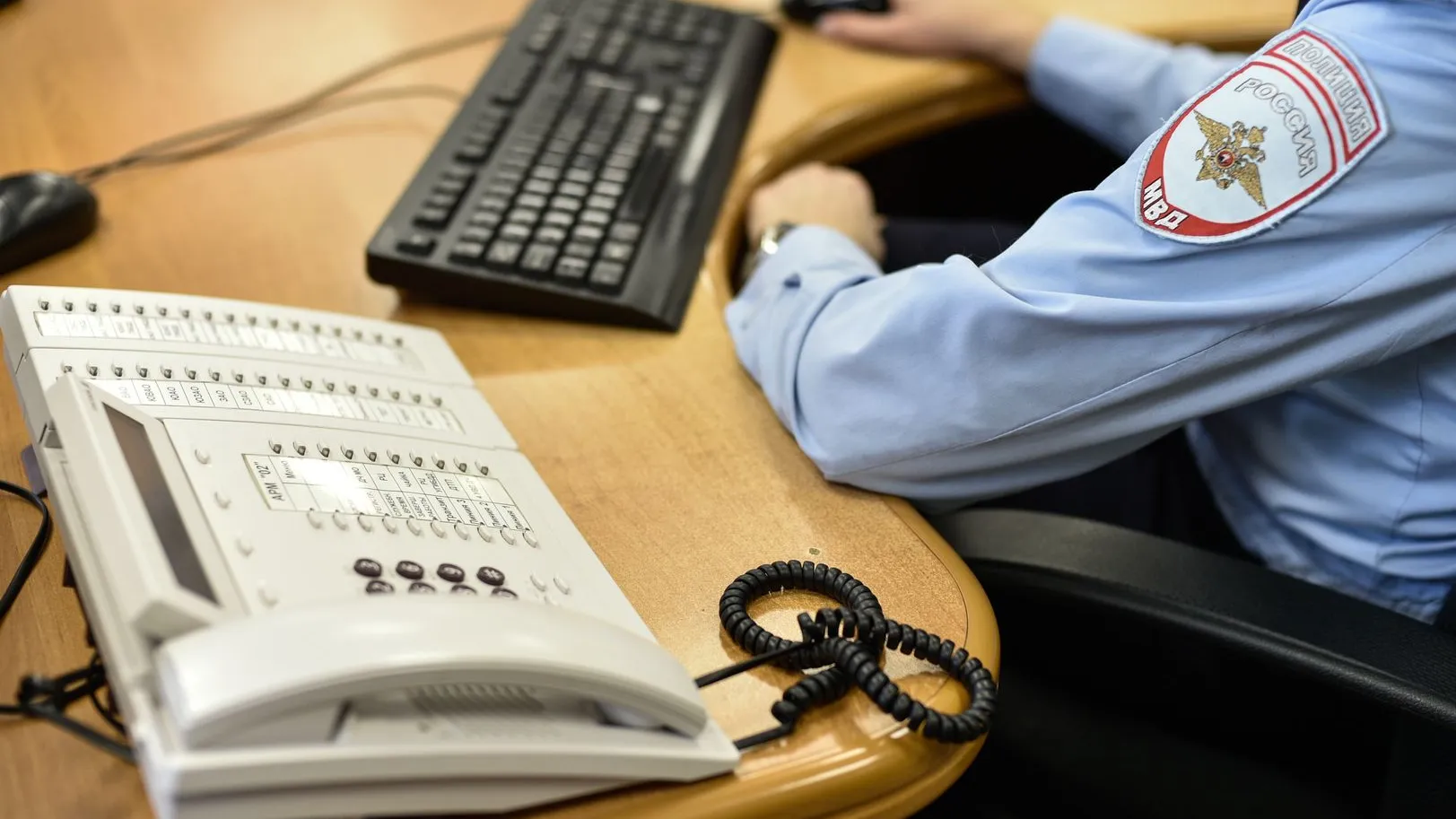 Фото: Медиасток Подмосковье