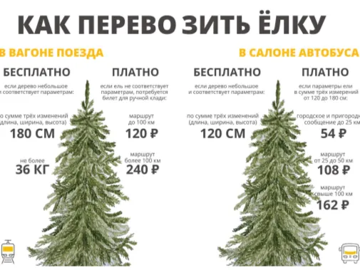 Фото: t.me/dorogitransport