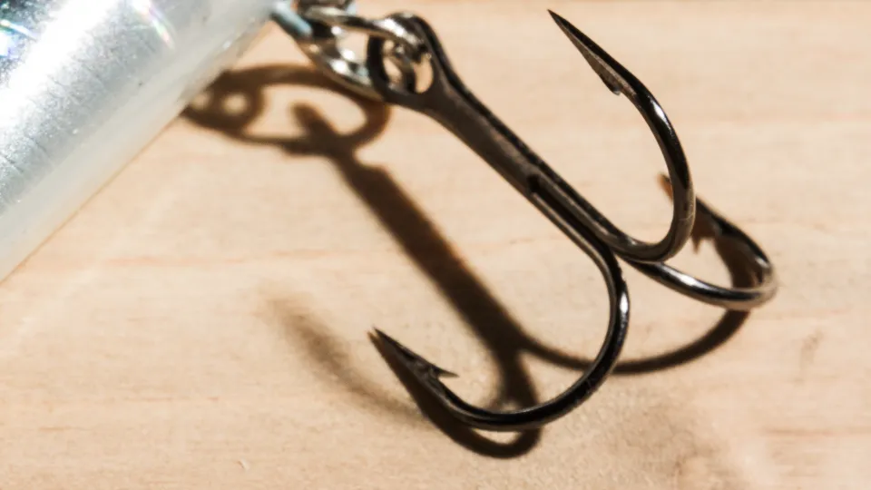 Фото: freepik.com