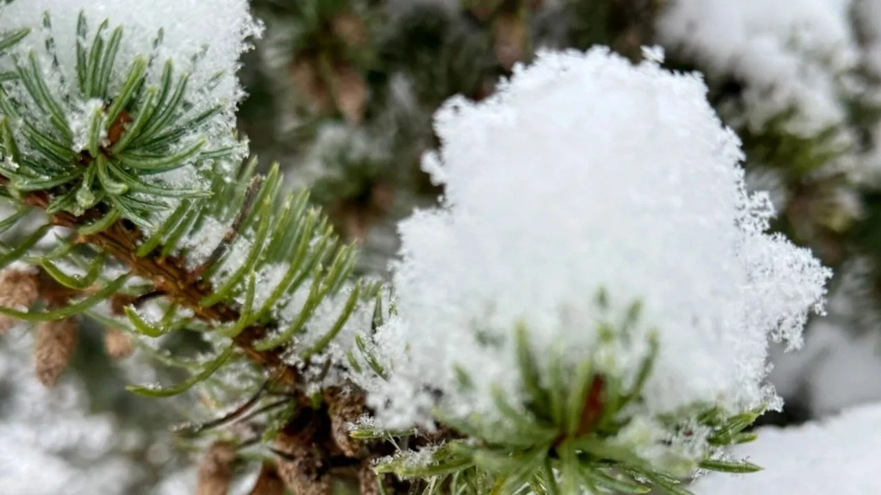 Фото: личный архив Марины Алифановой