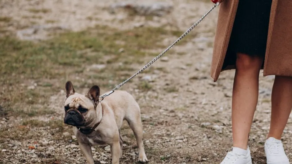 Фото: freepik.com