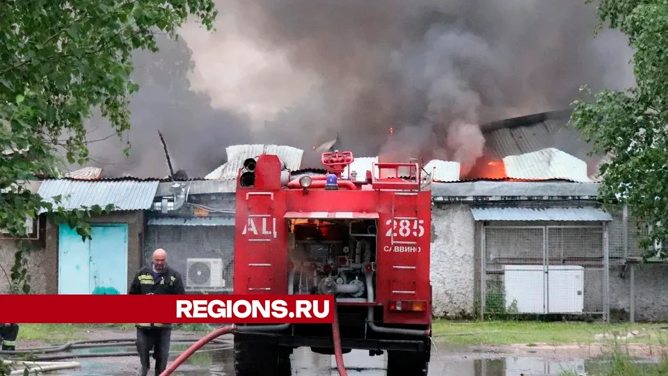 Фото: REGIONS/Василий Тремасов