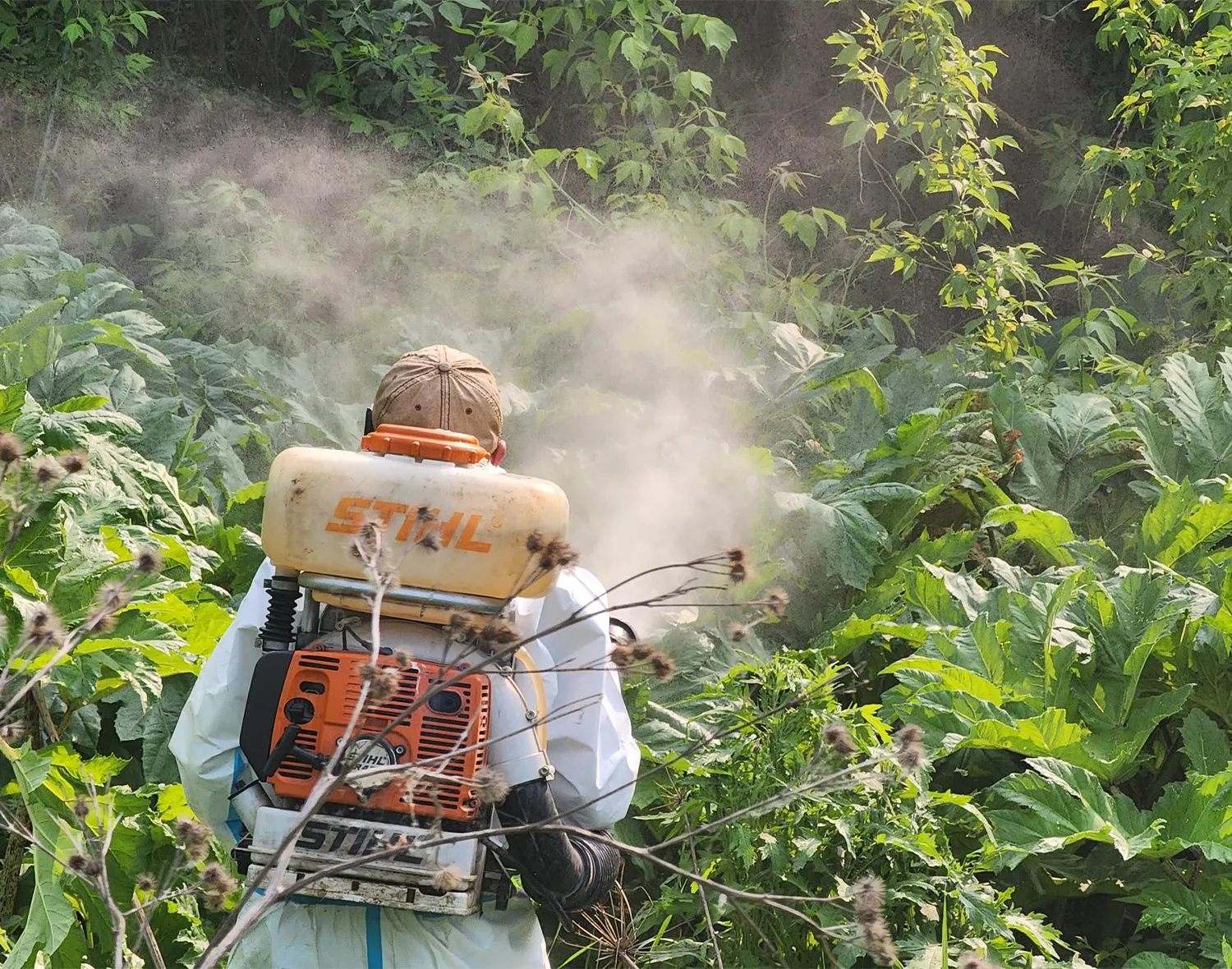 Фото: Станислав Орлов